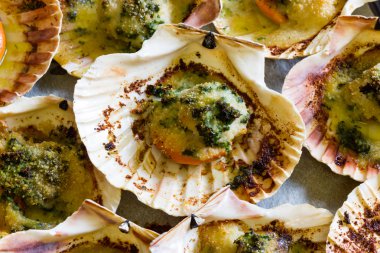 Lezzetli deniz tarağı fırında graten.