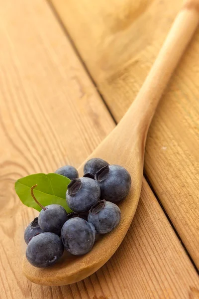 Tasty Blueberries on a wooden spoon — Stock Photo, Image