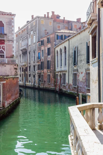 Canal de Venise avec eau verte — Photo