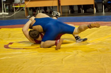 Erkekler Serbest stil güreşte rekabet