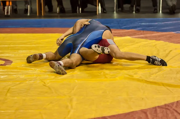 Erkekler Serbest stil güreşte rekabet