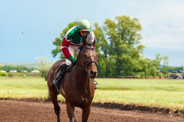 Carreras a caballo — Foto de Stock