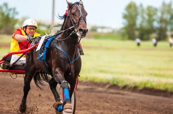 Racing på hästryggen — Stockfoto