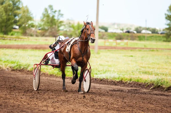 Racen op een paard — Stockfoto