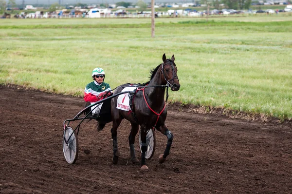 Racen op een paard — Stockfoto