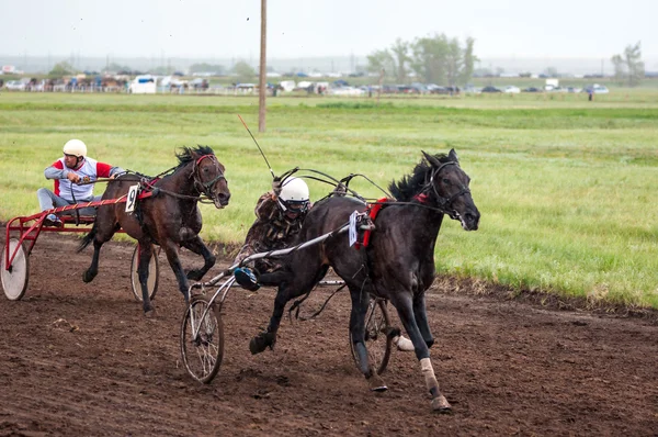 Racen op een paard — Stockfoto