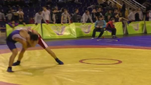 Konkursy w freestyle wrestlingu — Wideo stockowe