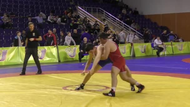 Competições no freestyle wrestling — Vídeo de Stock