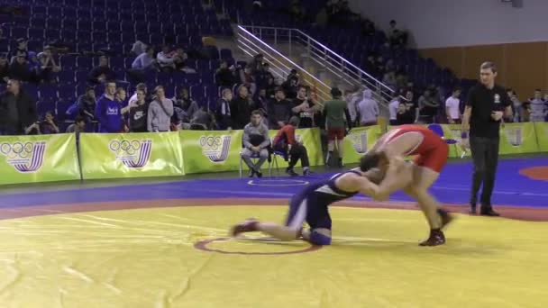 Competições no freestyle wrestling — Vídeo de Stock