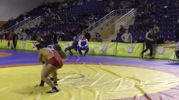 Konkursy w freestyle wrestlingu — Wideo stockowe