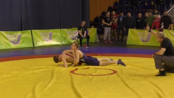 Competitions in freestyle wrestling — Stock Video