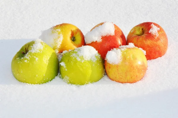 Äpfel im Schnee — Stockfoto