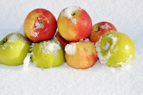 Maçãs na neve — Fotografia de Stock