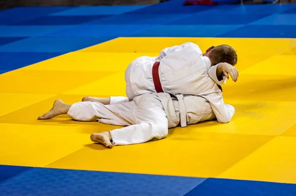 Twee judoka op de tatami. — Stockfoto