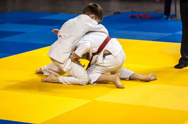 Dwa judoka na tatami. — Zdjęcie stockowe