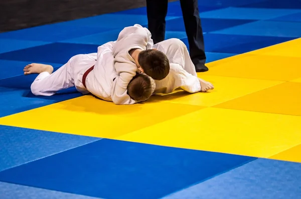 Dois judoca no tatami . — Fotografia de Stock