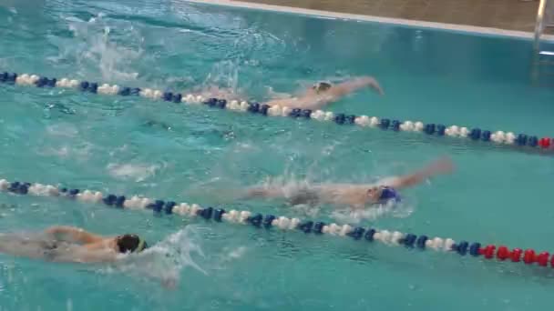 Оренбург, Россия - 23 апреля 2016: Мальчики соревнуются в плавании на спине — стоковое видео