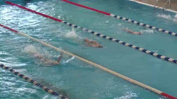 Orenburg, Russia - 23 aprile 2016: I ragazzi gareggiano nel nuoto sulla schiena — Video Stock