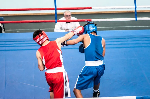 Orenburg, Rússia - 28 de abril de 2016: Meninos boxeadores competem — Fotografia de Stock