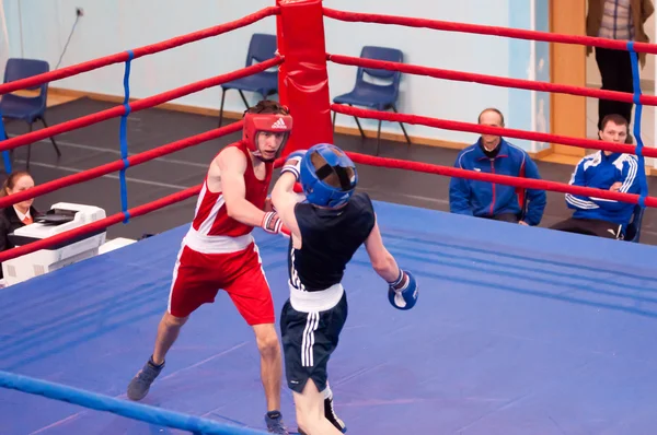 Orenburg, russland - 28. April 2016: Jungen-Boxer treten gegeneinander an — Stockfoto