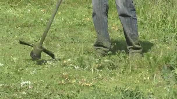 Tondeuse à gazon homme tonds herbe mauvaise herbe — Video