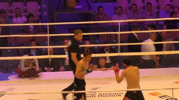 Orenburg, Rusia - 27 de mayo de 2016: Los combatientes compiten en artes marciales mixtas — Vídeos de Stock