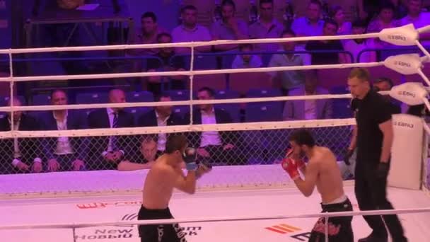 Orenburg, Rusia - 27 de mayo de 2016: Los combatientes compiten en artes marciales mixtas — Vídeos de Stock