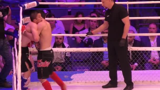 Orenburg, Rusia - 27 de mayo de 2016: Los combatientes compiten en artes marciales mixtas — Vídeo de stock