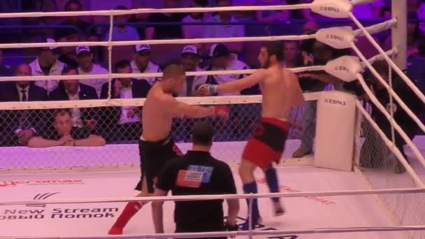 Orenburg, Rússia - 27 de maio de 2016: Os lutadores competem em artes marciais mistas . — Vídeo de Stock