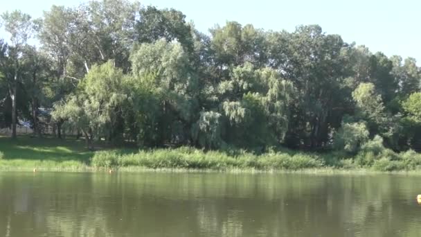 L'eau dans la rivière — Video