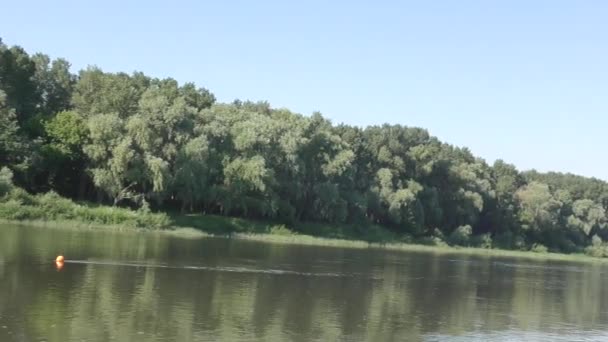 L'eau dans la rivière 