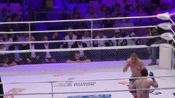 Orenburg, Rusia - 27 de mayo de 2016: Los combatientes compiten en artes marciales mixtas — Vídeos de Stock