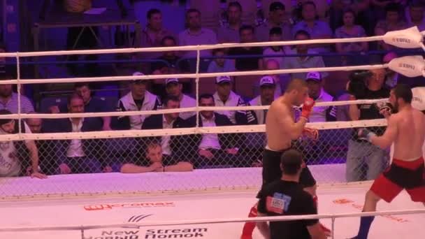 Orenburg, Rusia - 27 de mayo de 2016: Los combatientes compiten en artes marciales mixtas — Vídeos de Stock