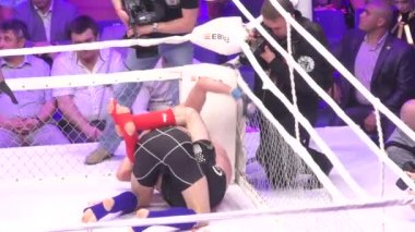 Orenburg, Rusya Federasyonu - 27 Mayıs 2016: karışık dövüş sanatları savaşçılar rekabet