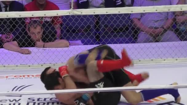 Orenburg, Rusya Federasyonu - 27 Mayıs 2016: karışık dövüş sanatları savaşçılar rekabet — Stok video