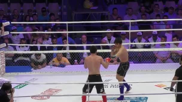 Orenburg, Rusia - 27 de mayo de 2016: Los combatientes compiten en artes marciales mixtas — Vídeos de Stock