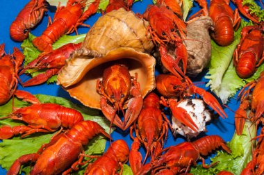 bira ile haşlanmış kerevit