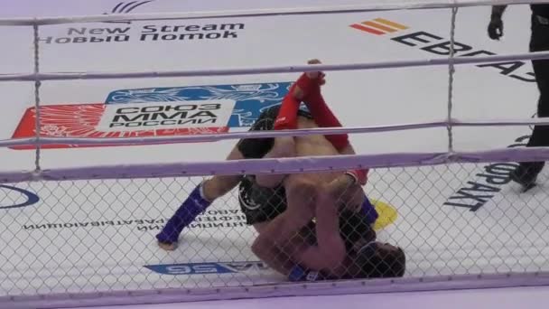 Orenburg, Rusland - 27 mei 2016: de strijders concurreren in mixed martial arts — Stockvideo