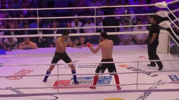 Orenburg, Rusia - 27 de mayo de 2016: Los combatientes compiten en artes marciales mixtas — Vídeos de Stock