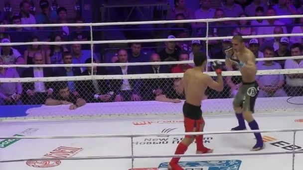 Orenburg, Rusia - 27 de mayo de 2016: Los combatientes compiten en artes marciales mixtas — Vídeo de stock