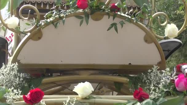Ornament wedding carriages — Stock Video