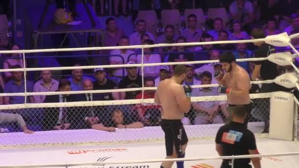 Orenburg, Rusland - 27 mei 2016: de strijders concurreren in mixed martial arts — Stockvideo