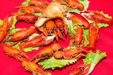 bira ile haşlanmış kerevit