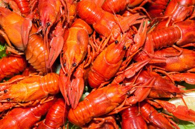 bira ile haşlanmış kerevit