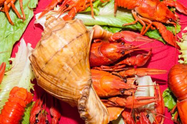 bira ile haşlanmış kerevit