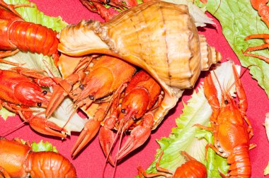 bira ile haşlanmış kerevit