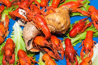 bira ile haşlanmış kerevit