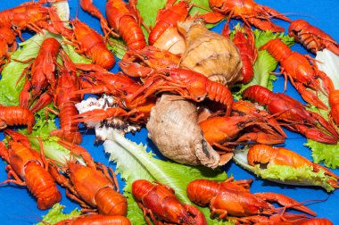 bira ile haşlanmış kerevit