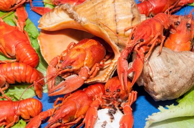 bira ile haşlanmış kerevit