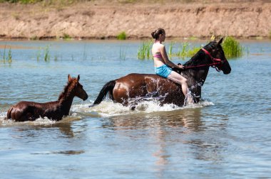Orenburg, Rusya Federasyonu - 18 Haziran 2016: kız banyo atlar